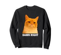 Grumpy Orange Cat Damn Right Meme Funny Weird Cat Face Meme Sweatshirt