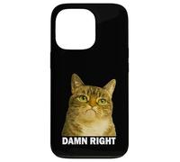 Grumpy Tabby Cat Damn Right Meme Funny Weird Cat Face Meme Coque pour iPhone 13 Pro