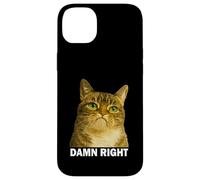 Grumpy Tabby Cat Damn Right Meme Funny Weird Cat Face Meme Coque pour iPhone 14 Plus