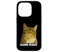 Grumpy Tabby Cat Damn Right Meme Funny Weird Cat Face Meme Coque pour iPhone 14 Pro