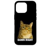 Grumpy Tabby Cat Damn Right Meme Funny Weird Cat Face Meme Coque pour iPhone 16 Pro