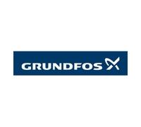 Grundfos Grundfos Accessoires pour pompes centrifuges verticales Jeu de brides ovales Rp1_1/4 Fonte grise Quantité:1