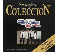 GRUPO BRYNDIS LA MEJOR COLECCION [2 CD'S]. by GRUPO BRYNDIS
