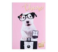 Grupo Erik - Album Photo 10 x 15 cm Chien - 36 Pochettes et Couverture Souple | Album Photo Enfant, Album Photo Pochette