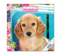 Grupo Erik - Calendrier 2026 Mural Chiens - Calendrier Mural 2026 Mensuel │ Idee Cadeau : Calendriers Muraux │ De Janvier à Décembre : Espace pour notes et Illustrations décoratives (30x60 cm)