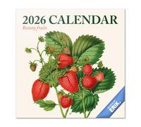 Grupo Erik - Calendrier Mural 2026 Fruits | Calendrier Mensuel 2026-30x60cm - De Janvier à Décembre