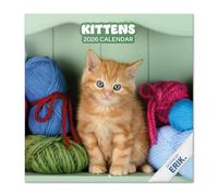 Grupo Erik - Calendrier Chat 2026 Mural - Calendrier 2026 Mural Mensuel │ Idee Cadeau : Calendriers Muraux │ De Janvier à Décembre : Espace pour notes et Illustrations décoratives (30x60 cm)