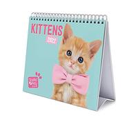 Grupo Erik - Calendrier de Bureau 2022 Studio Pets Chats - 12 Mois | De Janvier à Décembre 2022 | 20x18x6,5 cm, 6 langues, Certifié FSC