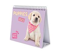 Grupo Erik - Calendrier De Bureau 2023 Chiens - 12 Mois | 20 X 18 Cm, Calendrier Mensuel En Français, Janvier 2023 À Décembre 2023 | Certifié FSC, Avec Support Rigide, CS23013