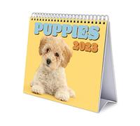 Grupo Erik - Calendrier de Bureau 2023 Chiens - 12 Mois | 20 x 18 cm, Calendrier Mensuel en Français, Janvier 2023 à Décembre 2023 | Certifié FSC, avec Support Rigide CS23036