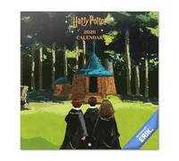 Grupo Erik - Calendrier Mural 2026 Harry Potter | Calendrier Mensuel 2026-30x60cm - De Janvier à Décembre