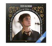 Grupo Erik - Calendrier Mural 2026 Harry Potter | Calendrier Mensuel 2026-30x60cm - De Janvier à Décembre