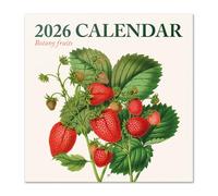 Grupo Erik - Calendrier Mural 2026 Fruits | Calendrier Mensuel 2026-30x60cm - De Janvier à Décembre