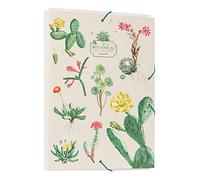 Grupo Erik - Chemise Cartonnée A4 Botanical Cacti - Chemise à Rabats Rigide - Pochette Cartonnée 24 x 34 cm - Fournitures Scolaires, Fournitures de Bureau