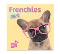 Grupo Erik CP23061 - Calendrier Mural 2023 Chiens - 12 MOIS - Janvier 2023 à Décembre 2023-30 x 60 cm, Certifié FSC, Calendrier Mensuel en Français