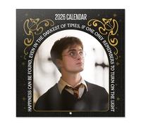 Grupo Erik - Calendrier Mural 2026 Harry Potter | Calendrier Mensuel 2026-30x60cm - De Janvier à Décembre