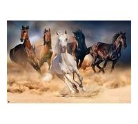 Grupo Erik – Affiche 5 Chevaux rectangulaire 61 x 91,5 cm en papier