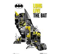 Grupo Erik Poster, Papier, Batman 80ème Anniversaire, 61 x 91,5cm