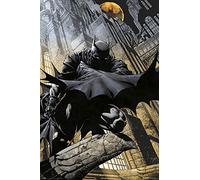 Erik – Affiche décorative DC Comics Batman Gargouille – Décoration murale