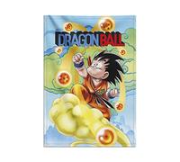 Grupo Erik - Poster Dragon Ball, Toile Murale Tissu 70 x 100 cm | Poster Manga, Décoration Murale, Kamekono