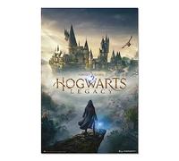 Grupo Erik – Affiche décorative Harry Potter Hogwarts Legacy – Décoration murale