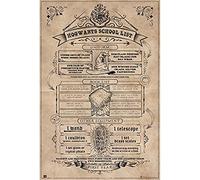 Grupo Erik – Affiche décorative Harry Potter Poudlard School List – Décoration murale