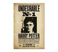 Grupo Erik Affiche Harry Potter Undesirable N1 – Décoration murale