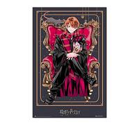 Poster Harry Potter Wizard Dynasty Ron Weasley