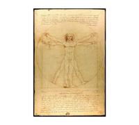 Grupo Erik: Poster L'Homme Vitruviano de Leonardo | Poster mural Art classique, 61 x 91,5 cm, Poster mural avec papier brillant et encadré, Homme Vitruve mural