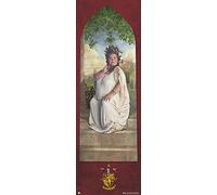 Grupo Erik - Poster Porte Harry Potter Gryffondor - Deco Maison, Decoration Murale, Affiche Décorative