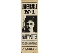 Grupo Erik - Poster de porte Harry Potter Indésirable N°1 - Décoration murale 53x158 cm