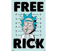 Grupo Erik - Poster Rick & Morty Free Rick - Deco Maison, Decoration Murale, Affiche Décorative