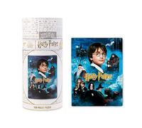 Grupo Erik - Puzzle 500 Pièces Harry Potter à L'École des Sorciers | Puzzle Adulte et Enfant, Affiche Harry Potter