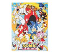 Grupo Erik - Puzzle Sonic 500 Pièces | Puzzle Adulte et Enfant, Cadeau Friends, Puzzle Cinema