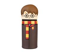 Grupo Erik - Trousse Harry Potter | Trousse Extensible en Silicone pour Collège ou Lycée, Fournitures Scolaires, Matériel Scolaire