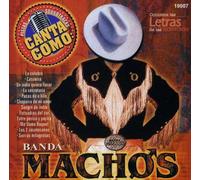Grupo Mexico Lindo - Pistas: Canta Como Banda Machos