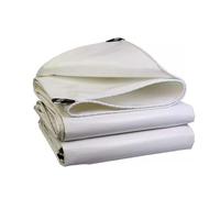 Gruytoie Bâche Extérieure 500g/m² 9x9m/29.5x29.5ft, Bâche Imperméable Étanche, Bâche Multi-Usage avec Œillets, résistante au Gel et aux UV, pour Meubles, Voitures, Camping