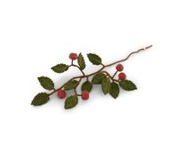 Gry & Sif Fabriqué à la main et certifié commerce équitable, design danois élégant x artisan Napali | Branches avec pomme en feutre - Fleurs artificielles pour décoration de salon