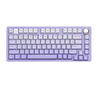 GRzHKN KEYCAPS PBT 81 Five latérale Sublimation Sublimation PBT MATÉRIAUX PROFILS CLACES Compatible avec CAPILS Charges MÉCANIQUES Charge(Stardust Purple)