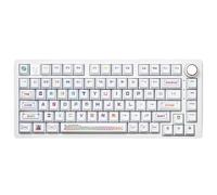 GRzHKN KEYCAPS PBT 81 Five latérale Sublimation Sublimation PBT MATÉRIAUX PROFILS CLACES Compatible avec CAPILS Charges MÉCANIQUES Charge(White)