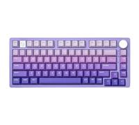 GRzHKN KEYCAPS PBT 81 Five latérale Sublimation Sublimation PBT MATÉRIAUX PROFILS CLACES Compatible avec CAPILS Charges MÉCANIQUES Charge(Aurora Purple)