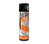 GS27 Démarrage Express Aide au démarrage Moteur 300ml