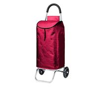 GSACLKES Chariots, Chariot de Campipliable Sur Roues Chariot D'Achat Portable Wagon Pliant Léger Pour Aînés Véhicule Utilitaire Extérieur Parfait Pour Le Campiet L'Escalade./E Couleur