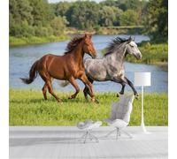 GSAEIMCT Papier Peint Panoramique 3D Cheval De La Forêt Animaux Du Paysage Soie Poster Murale Décoration Vert Pour Salon Chambre Fond De Mur Tv Papier Peint Murales,300X210Cm