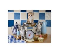 GSBRSNTS 5D Diy Diamond Painting,Les chats dans la cuisine,Cross Stitch Full Diamond Embroidery Mosaic Pattern Beaded Embroidery(30 x 40 cm/11.81 x 15.74 pouces)-E87