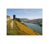 GSBRSNTS Château d’Ehrenfels,Peinture par Numéro Kits pour Adultes sur Toile Décoration De La Maison Art Image Cadeau(30x40cm) 11.8x15.7 pouces-AR61