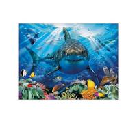 GSBRSNTS grand requin blanc,Peinture par Numero Adulte, Cadeau de Peinture à l'huile de Bricolage numérique pour Enfants Adultes Peindre par Nombre Kits(30x40cm-B61