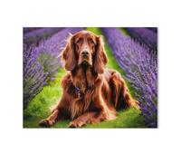 GSBRSNTS Irish Setter dans un champ de lavande,Peinture par Numero Adulte, Cadeau de Peinture à l'huile de Bricolage numérique pour Enfants Adultes Peindre par Nombre Kits(30x40cm-AE91