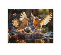 GSBRSNTS Oiseaux, qui a le plus beau plumage ?，Peinture par Numero Adulte, Cadeau de Peinture à l'huile de Bricolage numérique pour Enfants Adultes Peindre par Nombre Kits(50x60cm-AG63