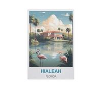 GSBRSNTS Peinture au numero pour adulte enfants，Hialeah, Floride，DIY Painting by Numbers numéro Cadeau de Peinture pour Enfant Décorations（50x60cm） 19.6x23.6 pouces-AJ11